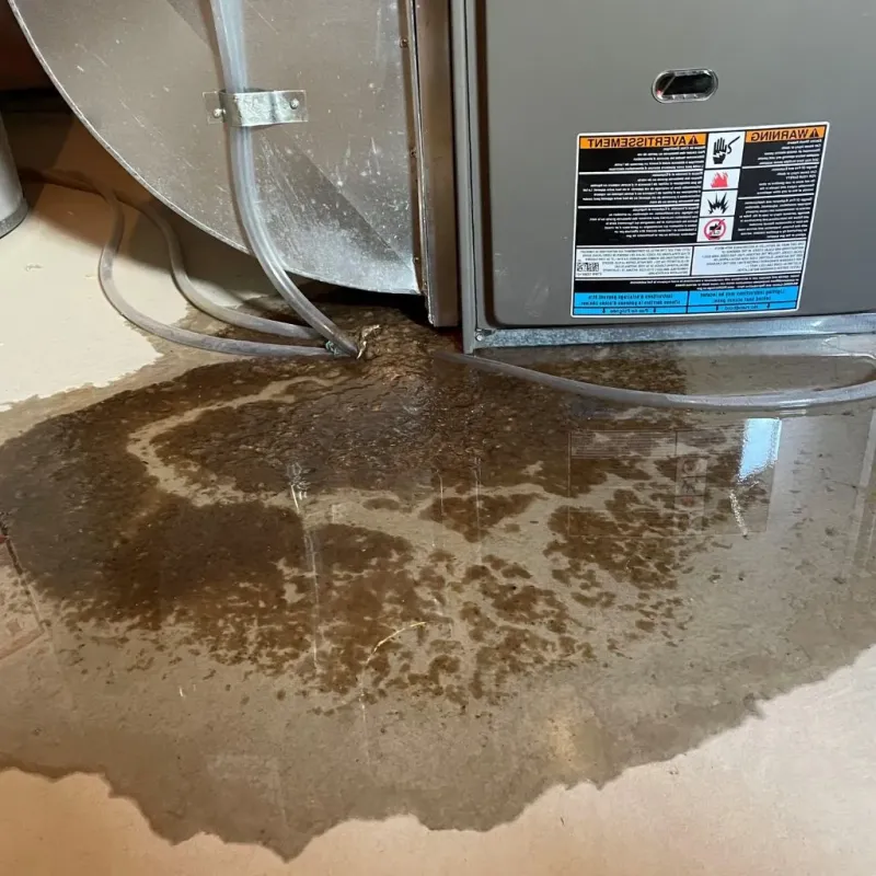 Pipe Burst and Leak Restoration in Lafayette County, MO